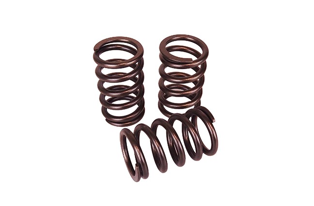 Performance Valve Spring Kit SAAB 9-3 2.0 2.3 turbo B205 B235 Trionic7