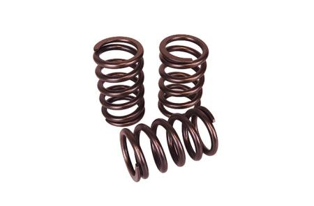 Performance Valve Spring Kit SAAB 9-5 2.0 2.3 turbo B205 B235 Trionic7 Performance Valve Spring Kit SAAB 9-5 2.0 2.3 turbo B205 B235 Trionic7